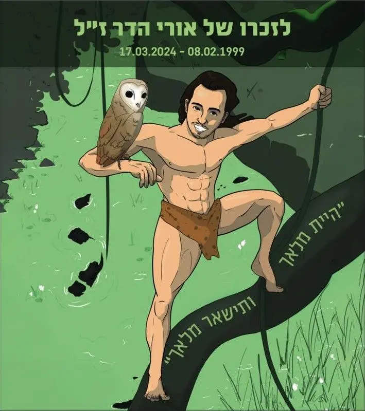 חיבולנס
